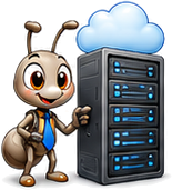 Services managés